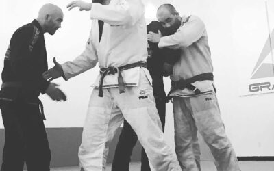 What to Expect From a Blue Belt